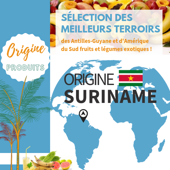 Origine Suriname